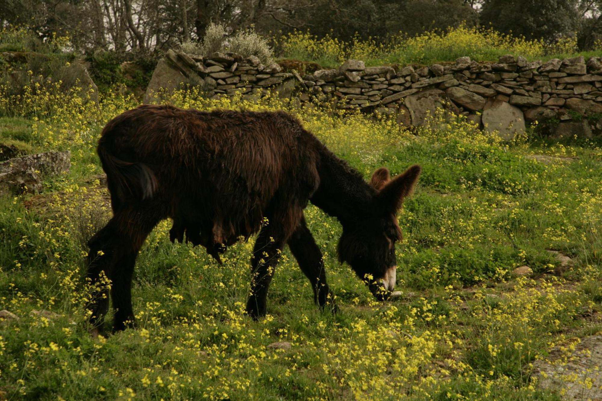 La Casa De Los Arribes Fornillos de Fermoselle Luaran gambar