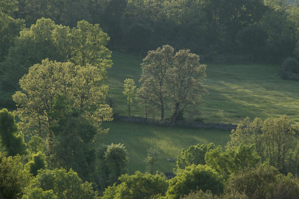 La Casa De Los Arribes Fornillos de Fermoselle Luaran gambar